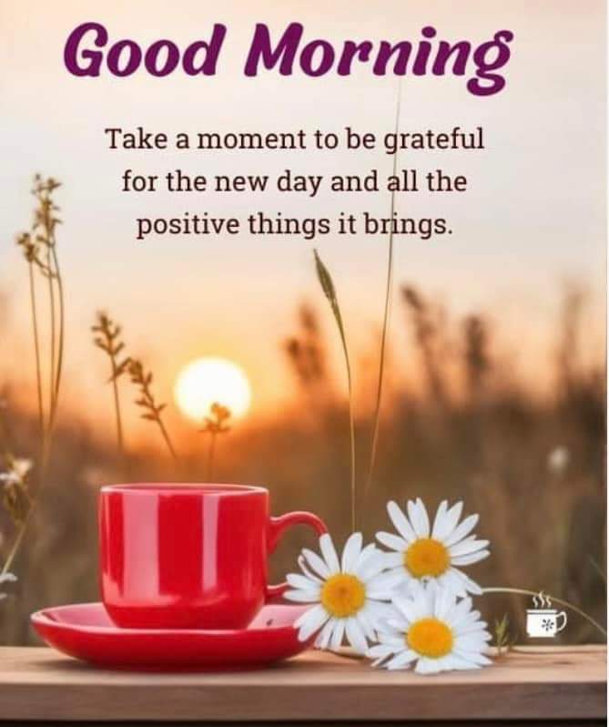 Good morning friends 🌄💕
#goodmorningwishes 
#HappySunday