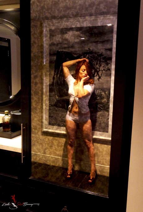 Happy Veterans Day! It's always a good time to reflect on and thank those who served. I'm also here to<a href="/tag/northernlights"class="tags"><span>#northernlights</span></a><a href="/tag/auroraborealis"class="tags"><span>#auroraborealis</span></a>