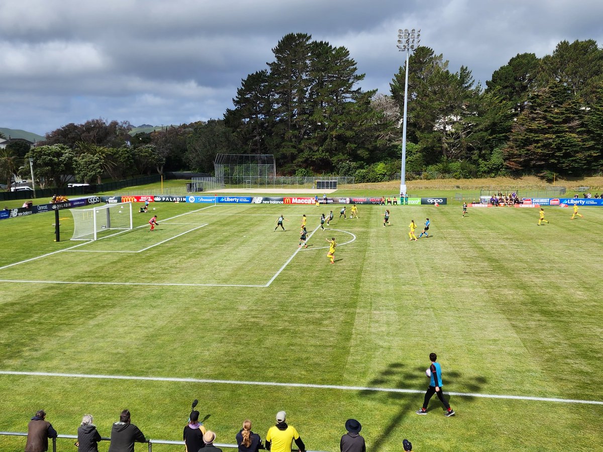 Such a treat to be able to actually see the players... #WELvWUN