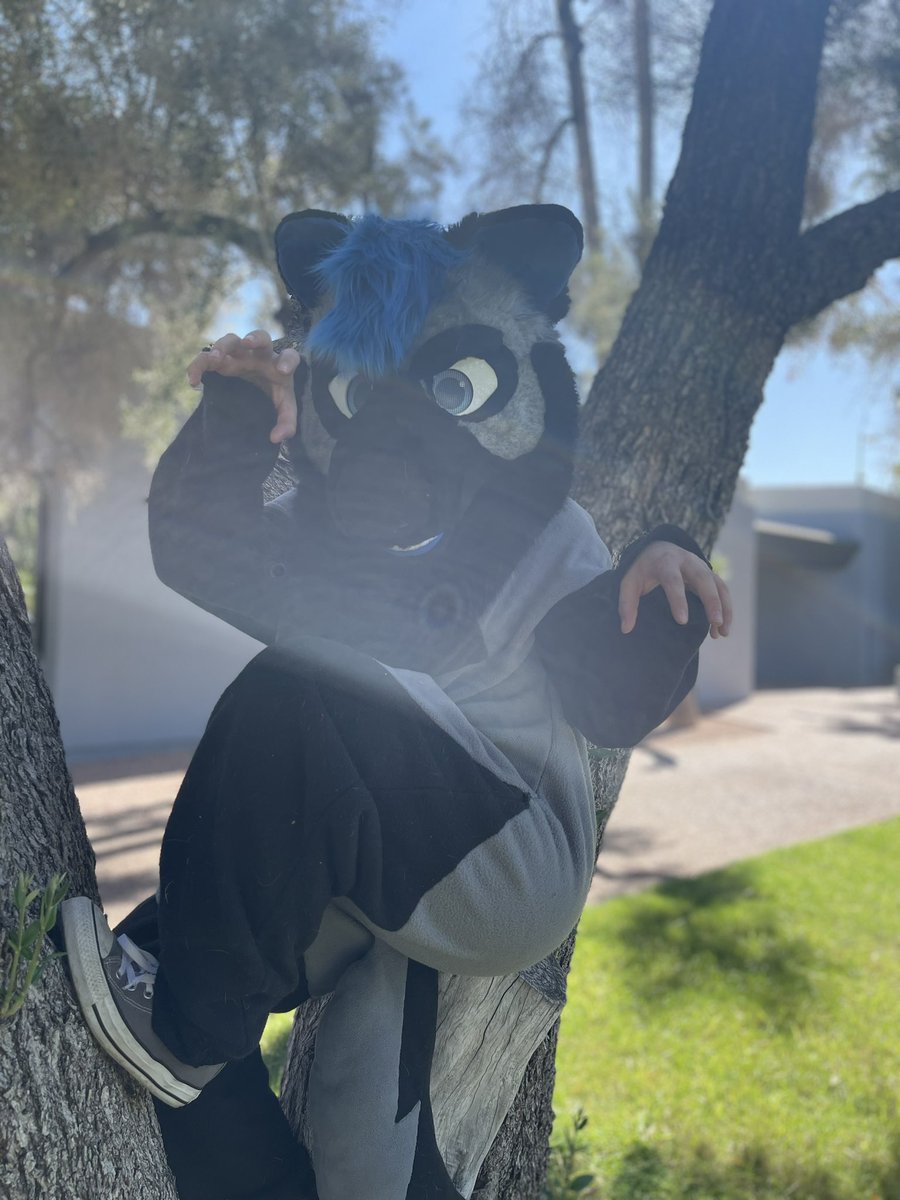 stinkymal12's tweet image. New pin!
The names Westley and I make kigus!
Feel free to chat, DMs are open or you can hit me on telegram @/malinois24
I love Mario, Pokémon, and horror games! I’m a stoner, a hiker, and a mess of ADHD and anxiety 😂
I know a lot about dogs if you got questions!