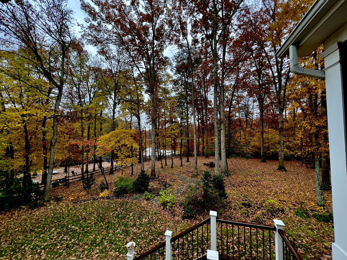 cuchovivas's tweet image. #Fall2023