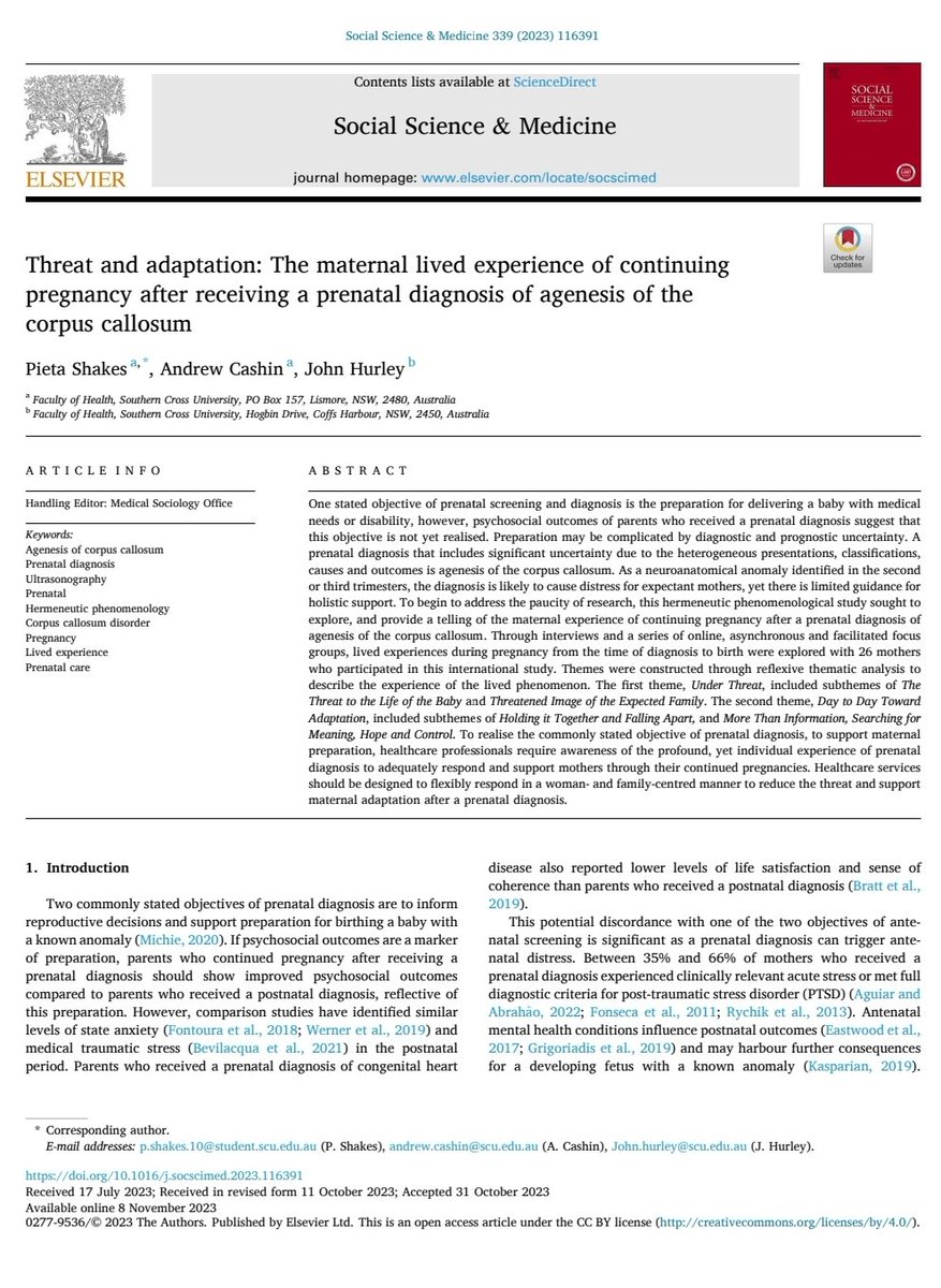 Pieta Shakes tweet media