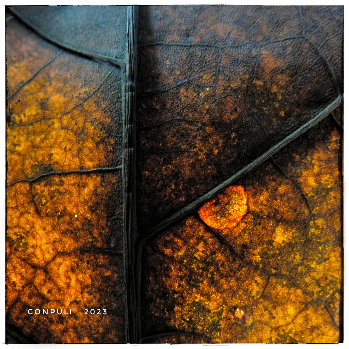 CONPULI's tweet image. Tovake 2013
#urbanarts
#fineartamerica
#fineartamericaartists
#shutterstock 
#istockbygettyimages
#gettyimagens 
#alamy 
#adobestock 

Portfólio : link na bio