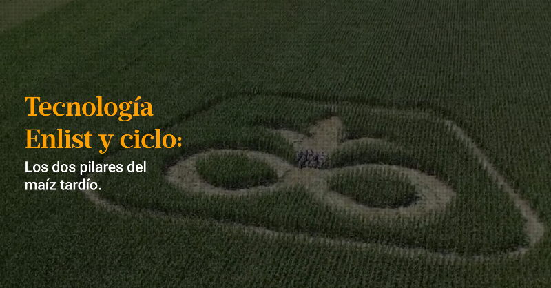 PioneerSemillas's tweet photo. #ContentLab | Con sus híbridos #Enlist y una gran variedad de opciones de ciclo, #Pioneer ofrece el mejor portfolio para un cultivo que es cada vez más protagonista. #HechoParaCrecer
Nota completa de @LANACION 👇