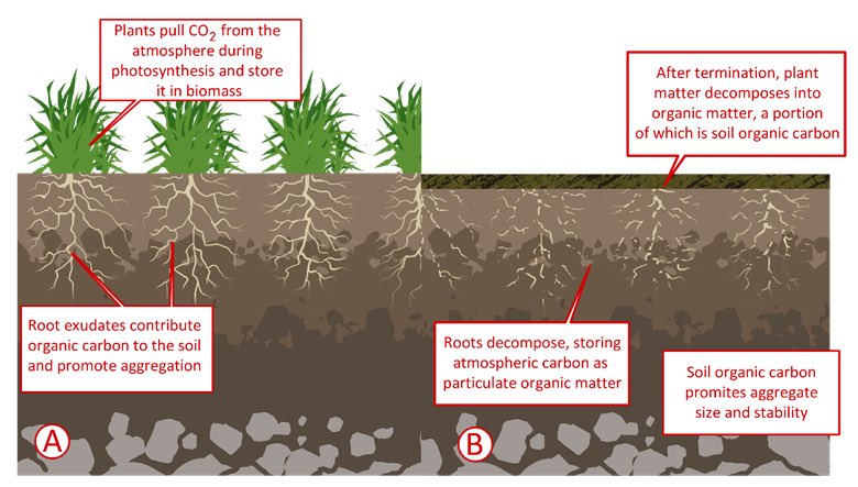 John Kowalchuk🧢 (@kowalchukfarms1) on Twitter photo Agricultures dirty little secret is that net emissions have dropped since 1990 if you take into account carbon sequestration
Our 🇨🇦 farming practices have adapted to conserve moisture and nutrients and grow more with less
This means increased carbon capture and higher yields! Agricultures dirty little secret is that net emissions have dropped since 1990 if you take into account carbon sequestration
Our 🇨🇦 farming practices have adapted to conserve moisture and nutrients and grow more with less
This means increased carbon capture and higher yields!
