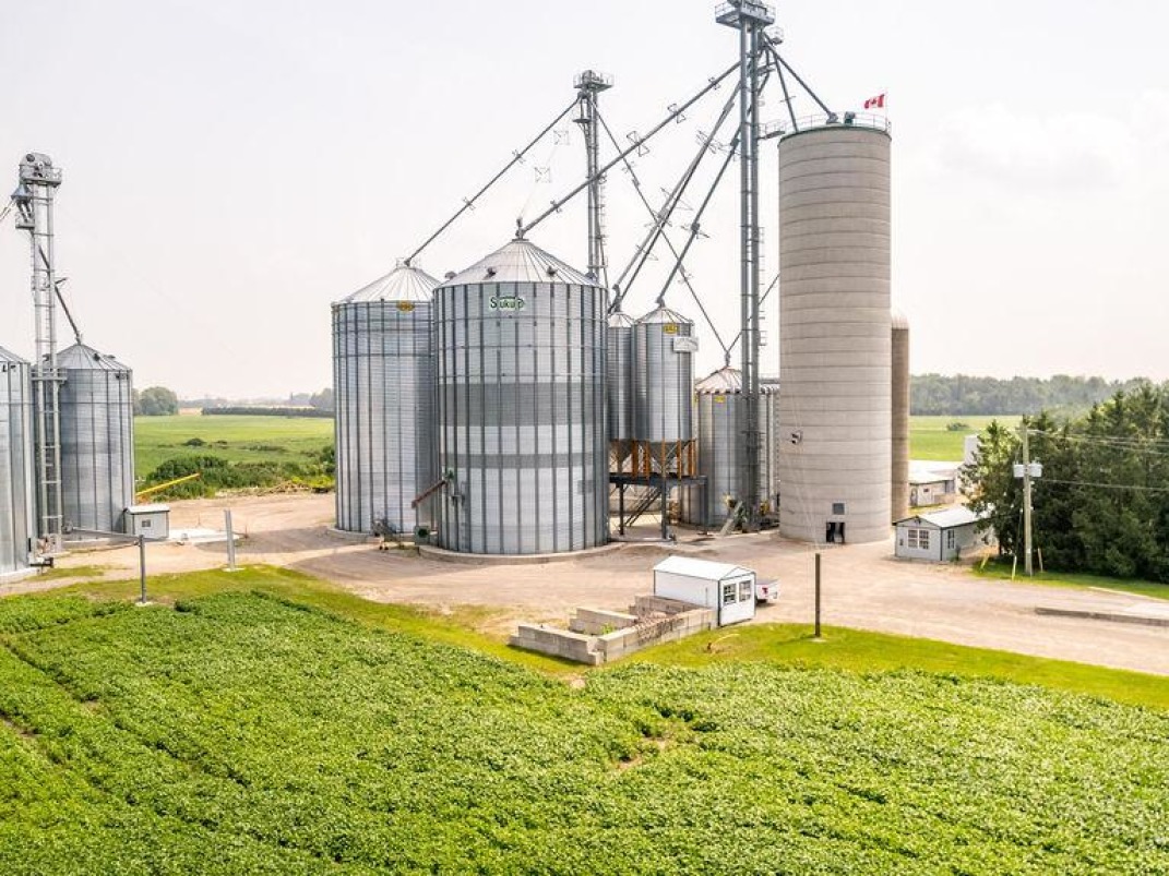 *HANDLING, STORAGE* AGRIBUSINESS FOR SALE!
farmmarketer.com/listing/fm/170…

Farm Type: Agribusiness
Acreage (Total): 100 
Province: Ontario
Agent: Philip Chabot

#Findyourdreamproperty #grain #grainfarm #cultivatedland #farm365 #forsale #cropland #barley #oats #rye #wheat #lentils