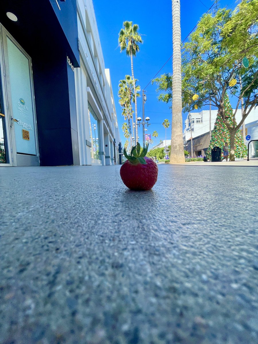 Someone dropped a strawberry 🍓 on the way home from the Santa Monica Farmers Market today. I really like this photo :) Note the Christmas tree on the right.