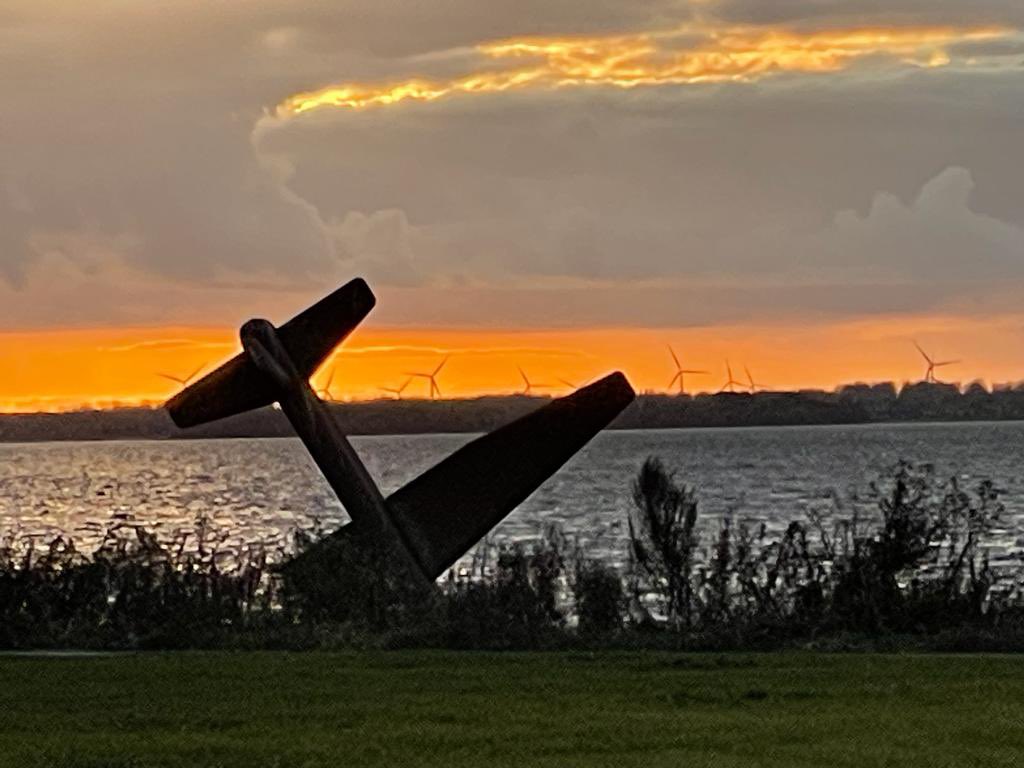 Mary Charlton tweet media