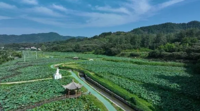 ICID inserisce 4 progetti cinesi nel Patrimonio Mondiale dell'Irrigazione, portando la Cina a 34 siti riconosciuti.
facebook.com/yaoyangcanale/…
#Irrigazione #PatrimonioMondiale #Cina #Sostenibilità #Agricoltura #IngegneriaIdrica