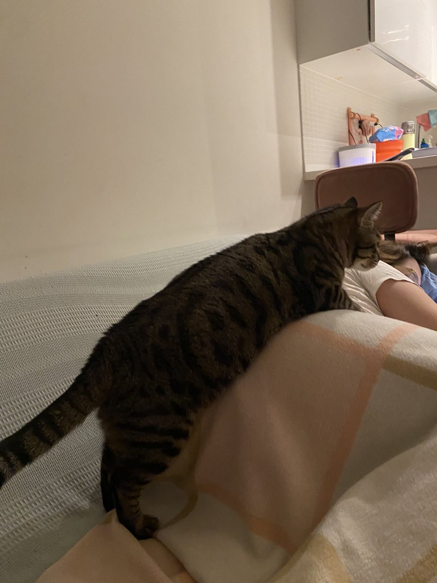 deyse napiyun tabletden