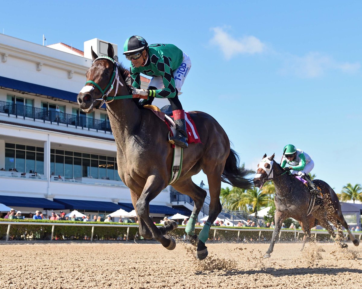 #FloridaBred Chi Chi wins second straight stakes with Juvenile Fillies Sprint victory @GulfstreamPark @EdwinGonzalz1 bit.ly/3u8YPGq