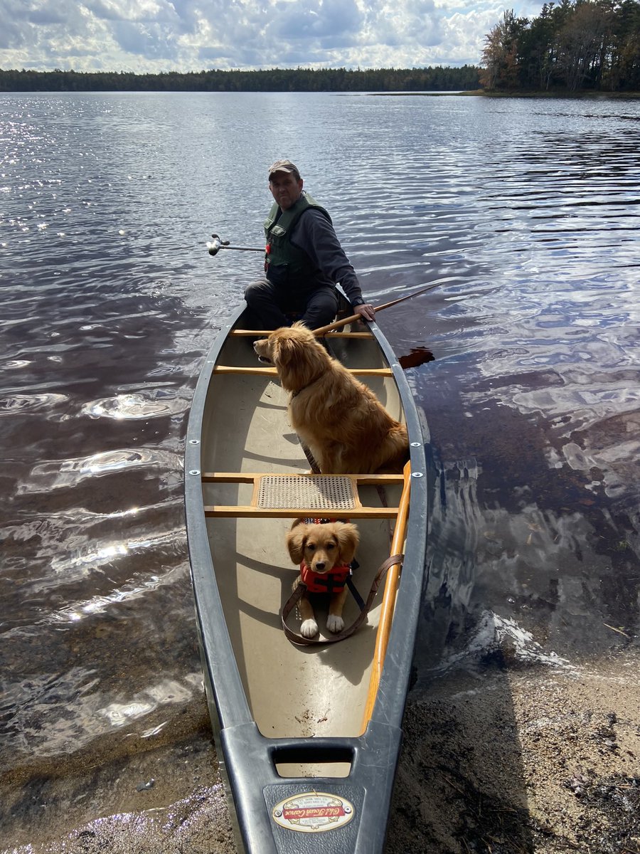 <a href="/Traversing/">Traversing</a> Kejimkujik National Park.  2 Nova Scotia duck tollers.  3 months and 8 years. They love the canoe.