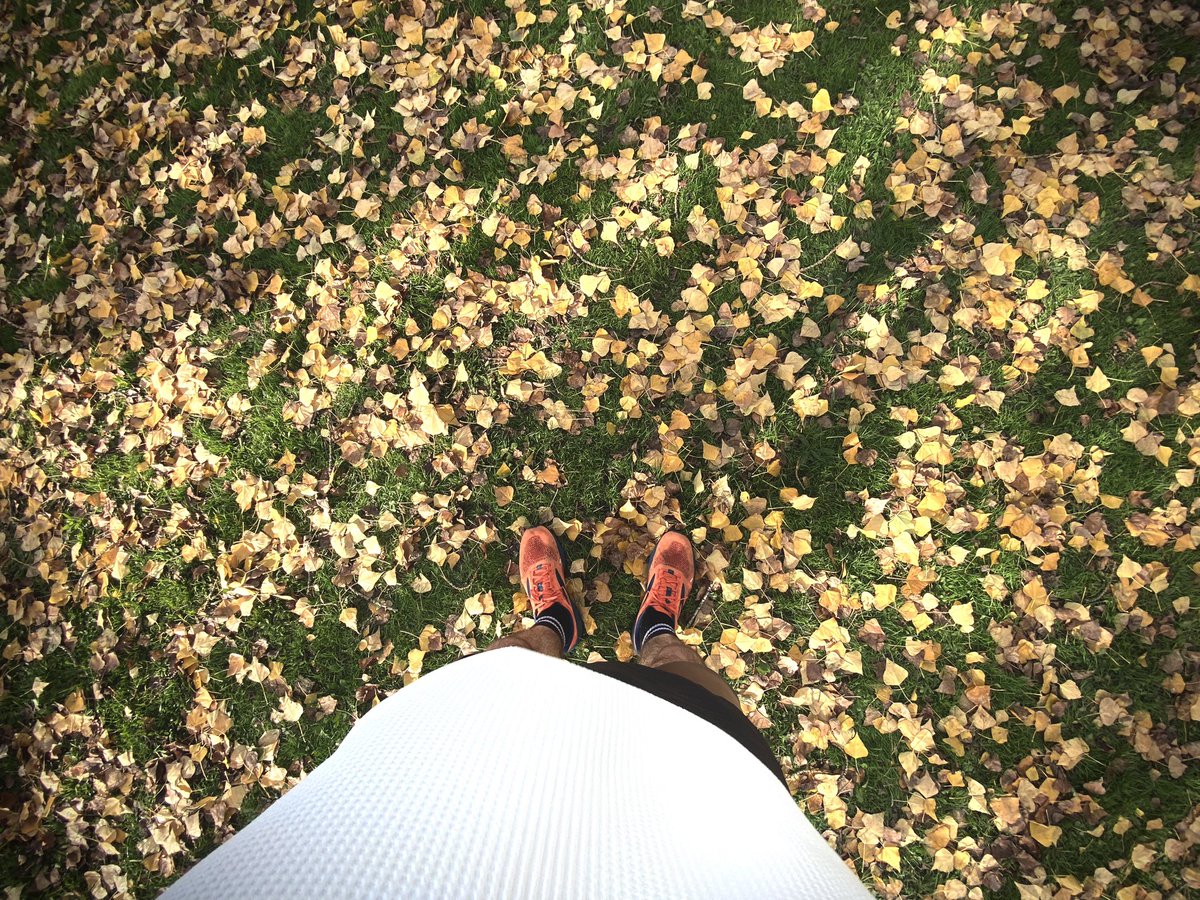 grounds_running's tweet image. Stop showing off Seattle!😏

#Seattle #running #explore