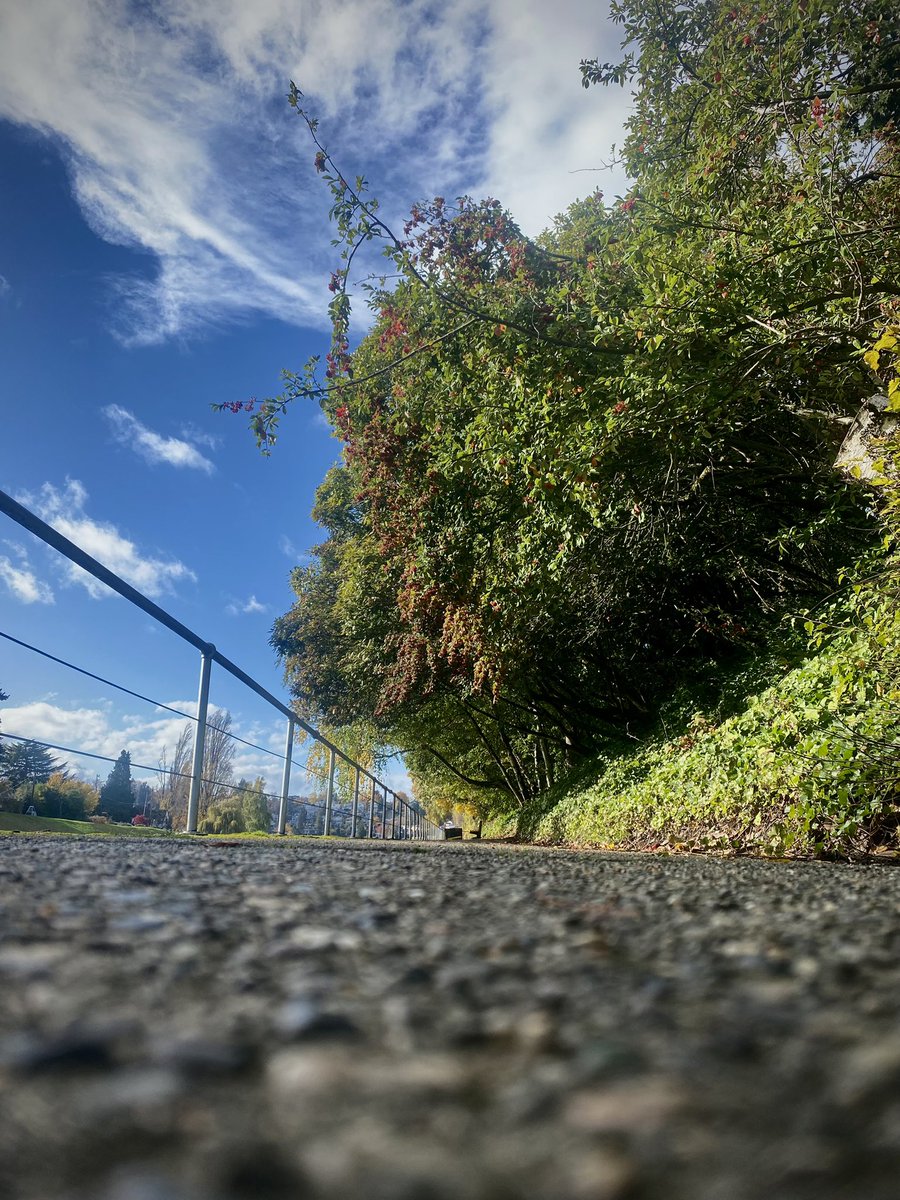 grounds_running's tweet image. Stop showing off Seattle!😏

#Seattle #running #explore