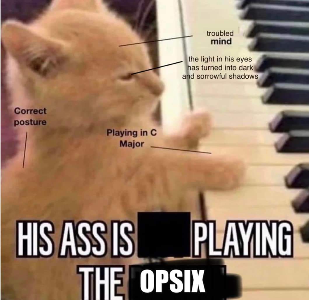 Cats with synths is my new favorite genre.