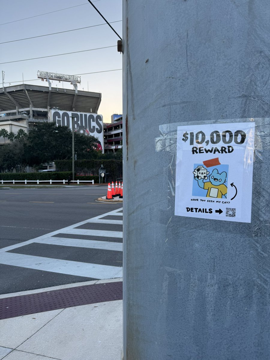 RJFieldsofGold's tweet photo. I know Blue is a big football fan, so I made sure people will be on the lookout for him at the Bucs game tomorrow! @coolcats @cloncast #helpchugs #findblue https://t.co/IsqtpGVN9V