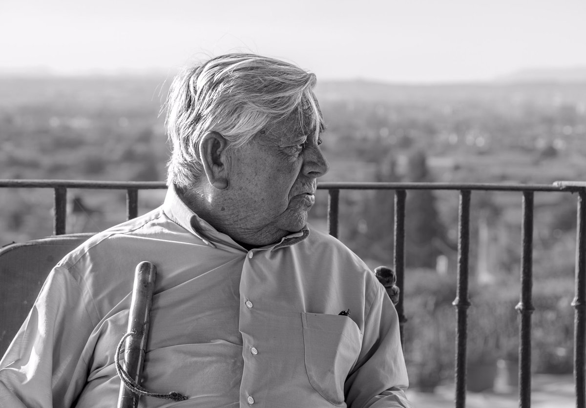 Pepe Jara NeonCactus tweet media