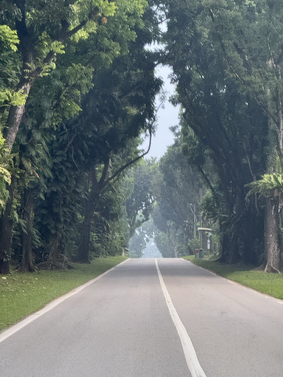 #Singapore road ahead!!
