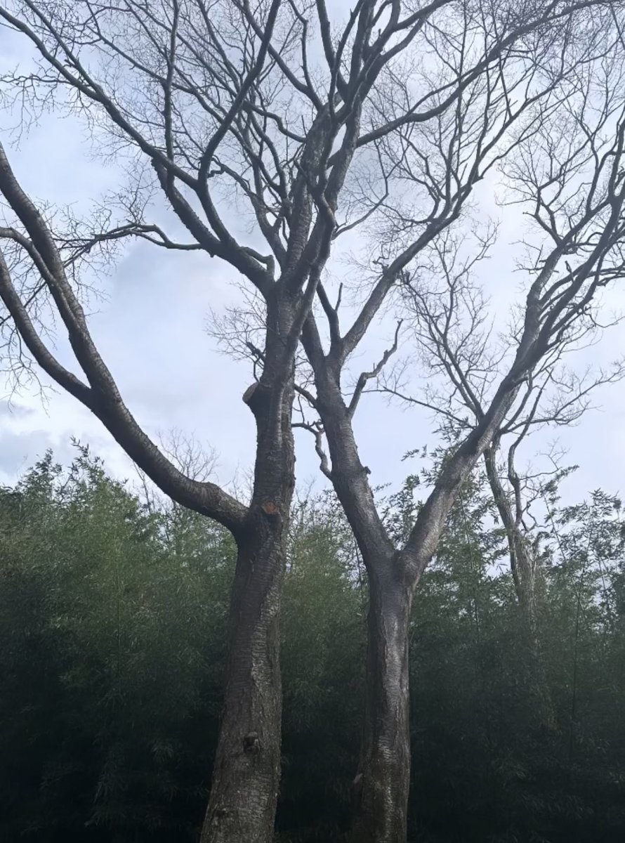 おはようこざいます！
本日は皮膚の日です。
私は乾燥肌なのでこれからの季節はハンドクリームが必須になります。
冷たい風を肌に感じる季節になるため自己管理が大切になりますね🔥
 #皮膚の日 
 #おは戦51112nn 
 #企業公式が朝の挨拶をいいあう 
 #企業公式秋のフォロー祭り