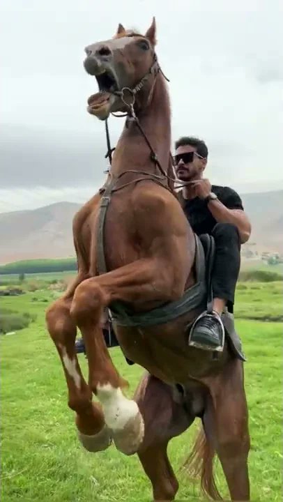 إن يحرقوا كل النخيل بساحنا
سنطلّ من فوق النخيل نخيلا
إن يهدموا كل المآذن فوقنا
نحن المآذن فاسمع التهليلا
نحن الذين إذا ولدنا بكرة
كنّا على ظهر الخيول أصيلا

#بوح_آخر_الليل