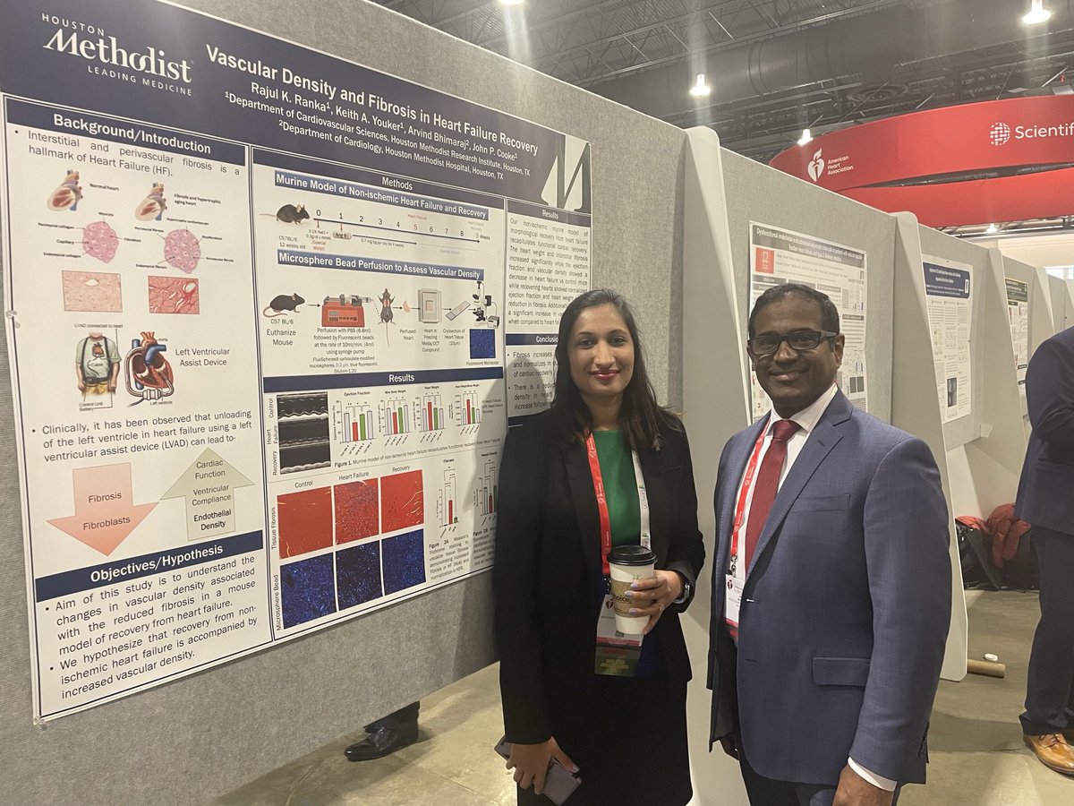 Great work by @rajulranka1 showing Heart Failure Recovery is a Vascular recovery in our mouse model of Nonischemic HF and Recovery. #AHA2023