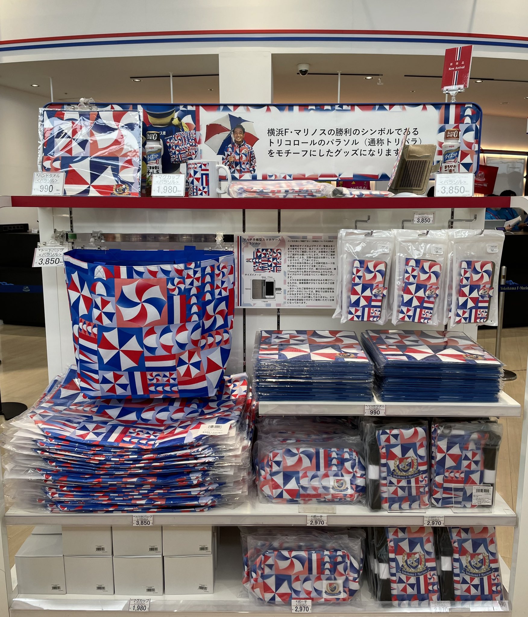 植中朝日 横浜F・マリノス グッズまとめ売りセット（バラ売り不可） 植中朝日 横浜F・マリノス グッズまとめ売りセット（バラ売り