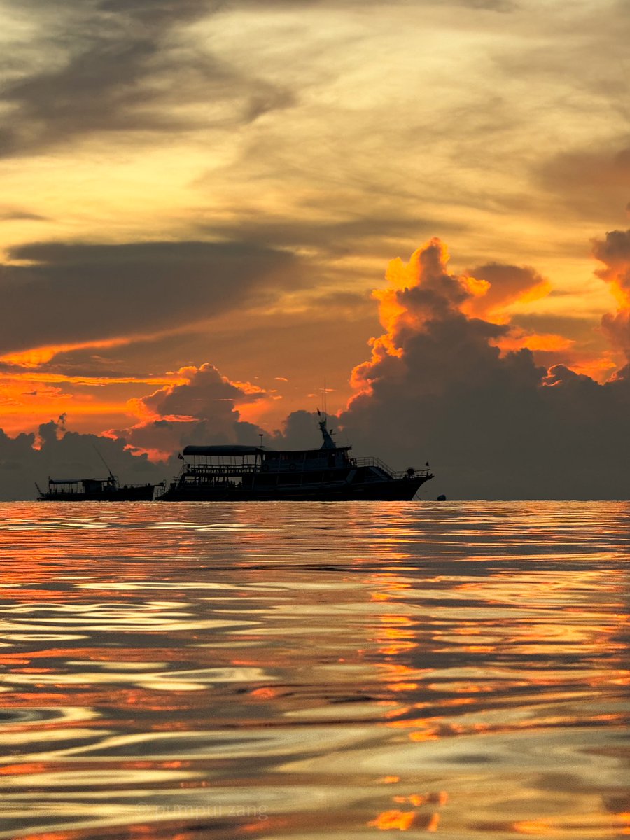 pumpuizang's tweet photo. Kohtao  #kohtao #เกาะเต่า https://t.co/jQElEhDp8e