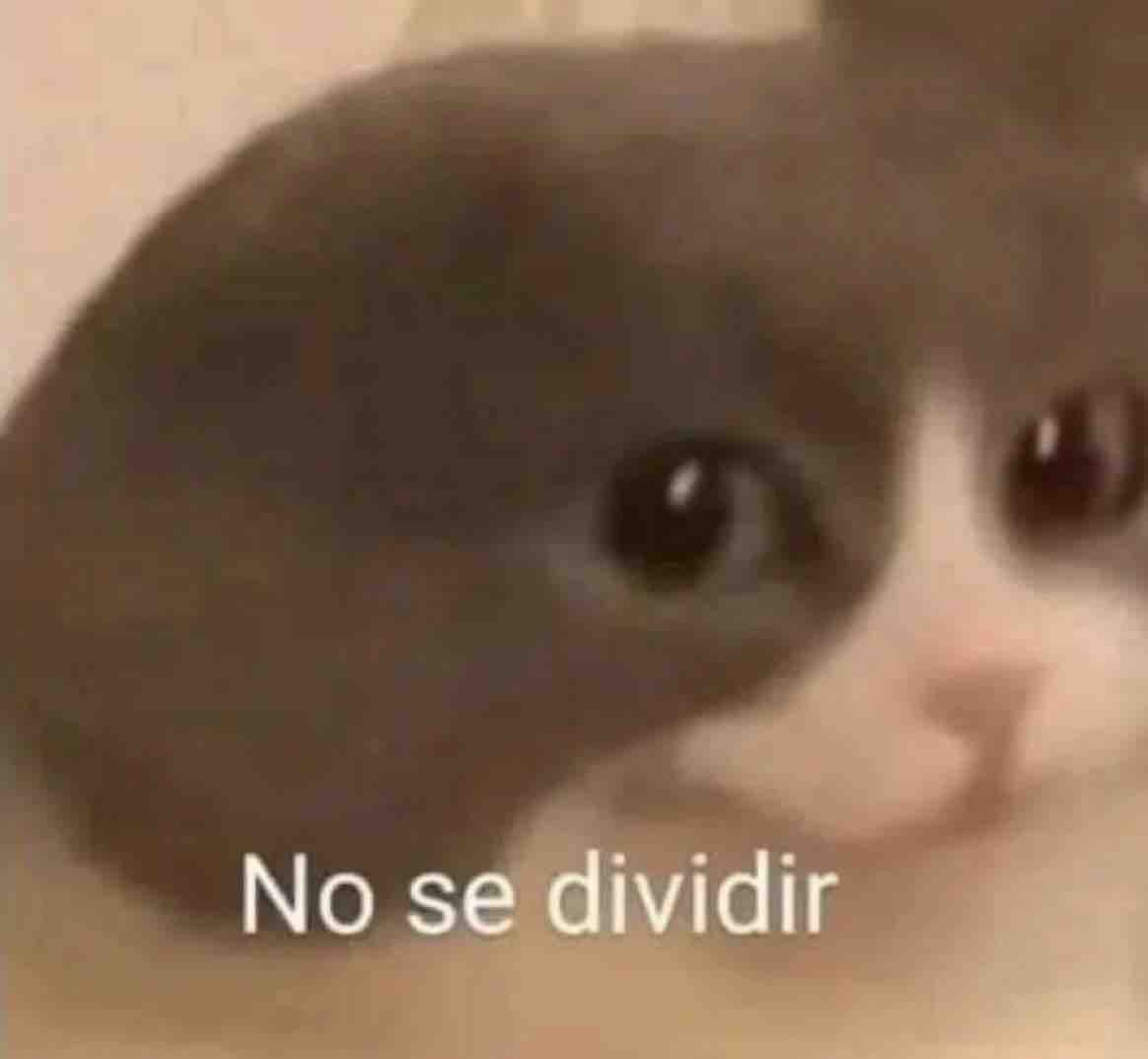 nebulinamx's tweet photo. Yo llegando a la residencia https://t.co/RedmoQ6E1t