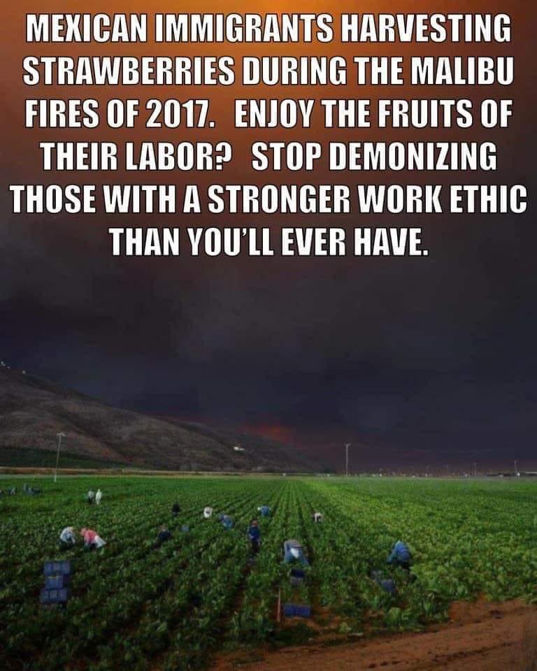 Phoenix Rising tweet media