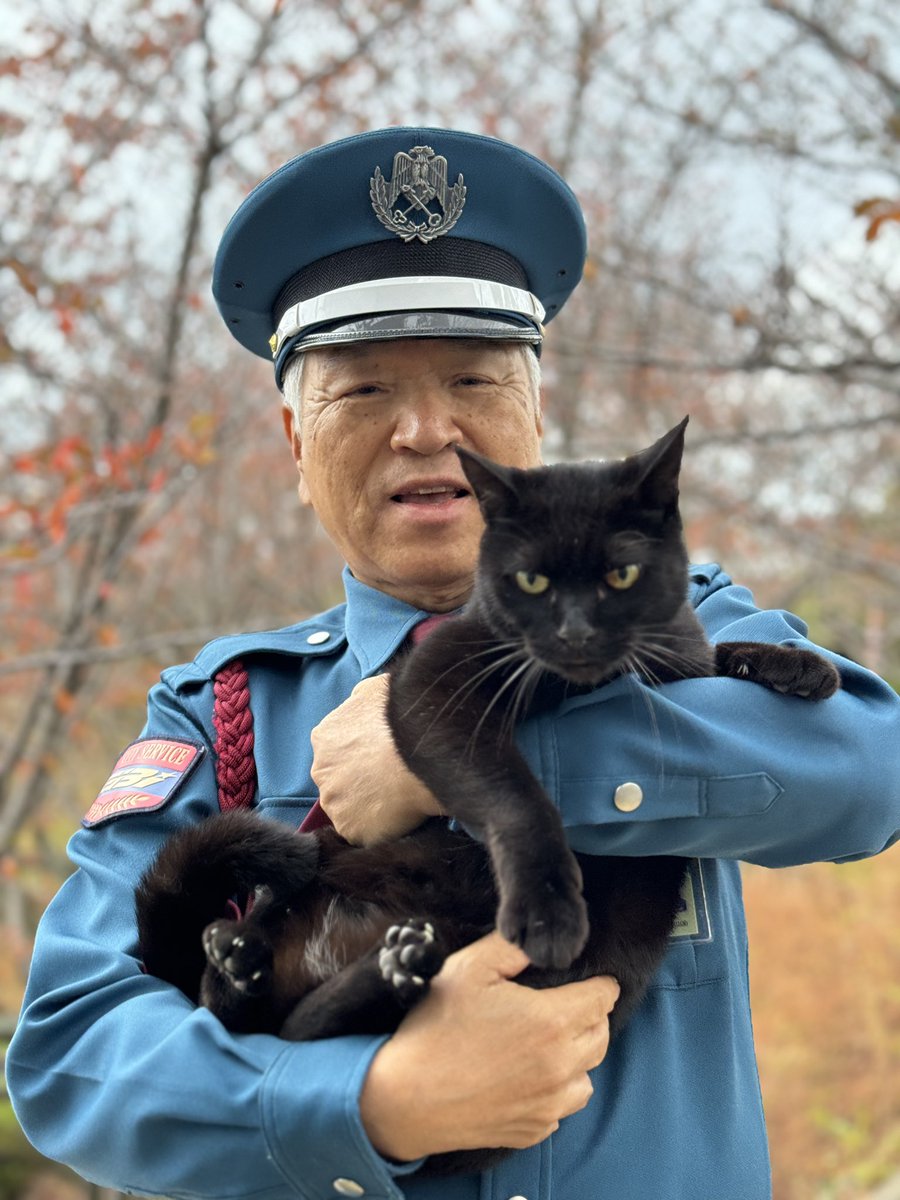 にゃーお にゃ～お - YouTube