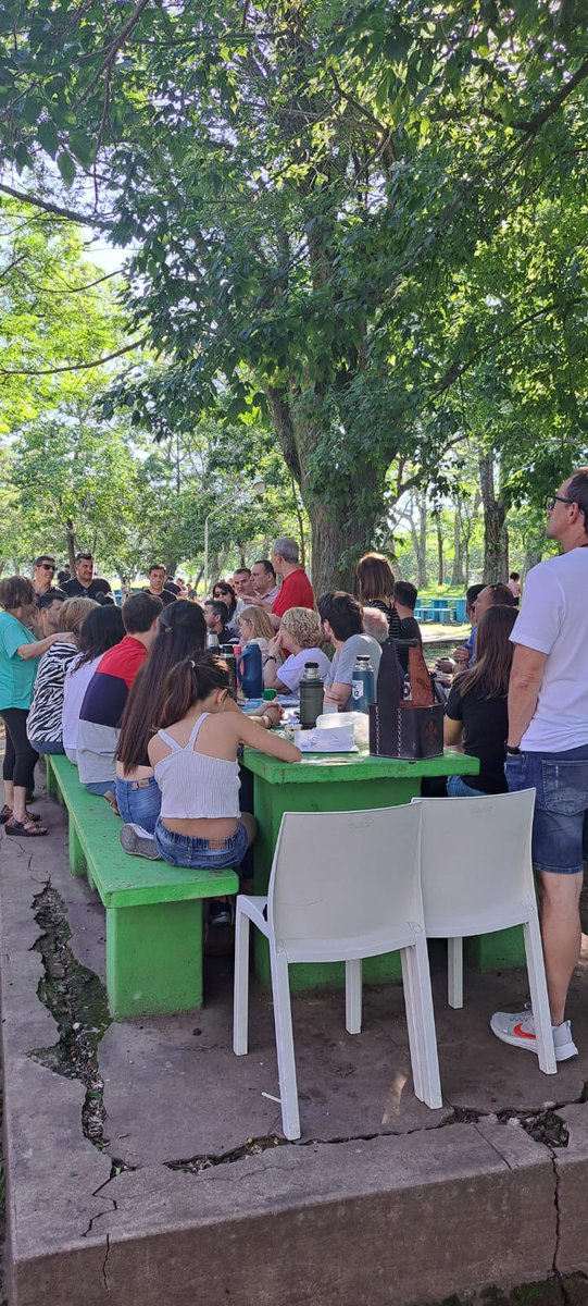 Daniel Tonelli tweet media