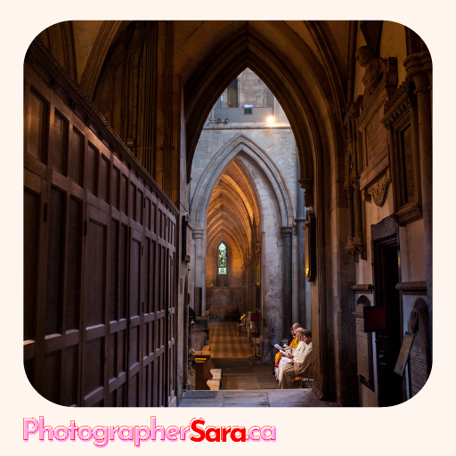 RedSaraRed's tweet photo. Southwark Cathedral is special as it is the mother church of the Anglican Diocese of Southwark. Which is the diocese where our children attended school and that of our local Church at the time. It's the kind of building I dreamed of documenting while growing up in Australia. https://t.co/vHfSLk0SA2