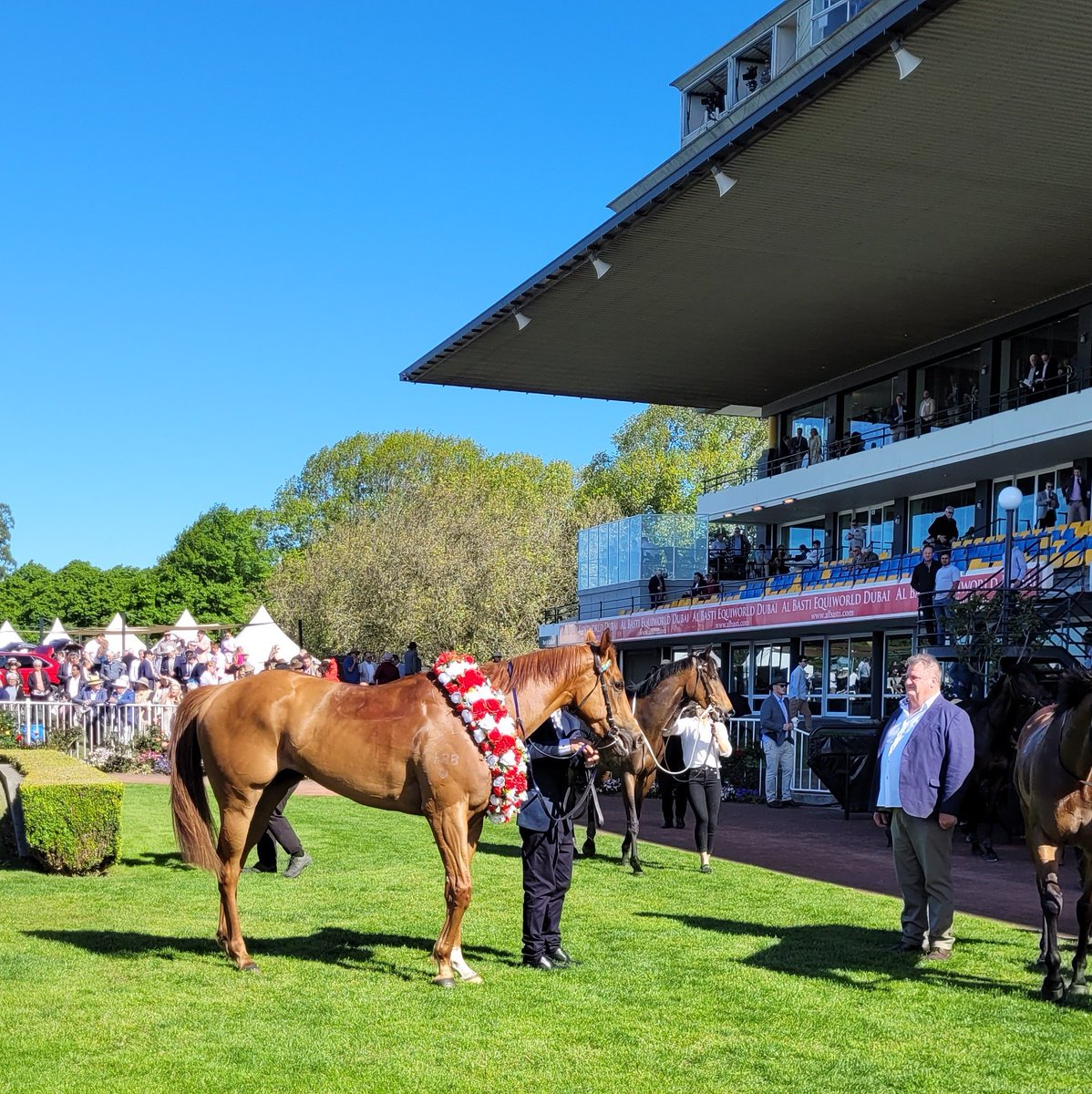 J0Starr's tweet image. Stunning day, and we've witnessed yet another champion race horse 🫶🐎🎙️#Deano