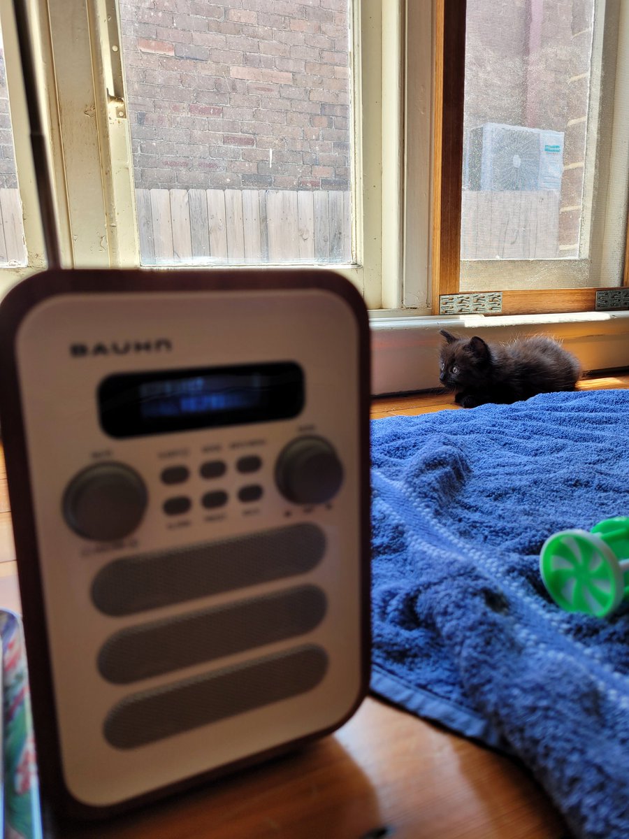 Atticus The Catticus. Xtreme sleeping Champion. tweet media