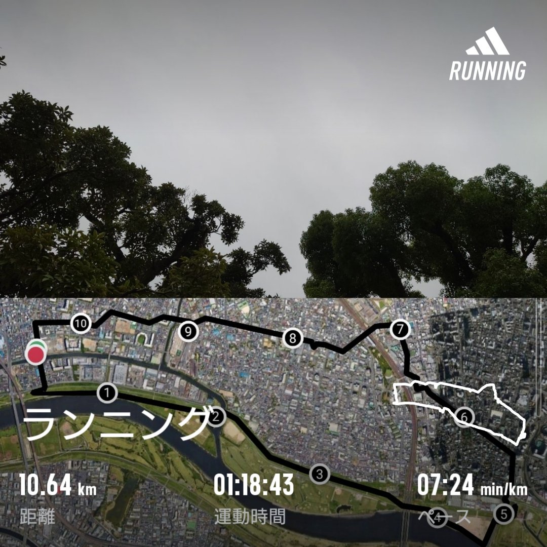 homma_t's tweet photo. 走り始めは小雨でしたが、本降りにはならず終了。
指先が冷たくなる気温でした。
一気に秋が深まった感じですね。
#run #running #sundayrun #novemberrun #arakawa https://t.co/yOy860ENgc