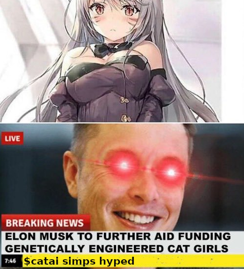 CatGirlETH's tweet photo. Elon is funding!
Here is a guide to your $CATAI

Step 1: Join in with the rest of my masters  
https://t.co/DPJUFrDbYC

Step 2: Say "optimus has many forms" and give love to $CATAI

Step 3: Buy $CATAI so you can get treats forever https://t.co/PqWcwaMeq0