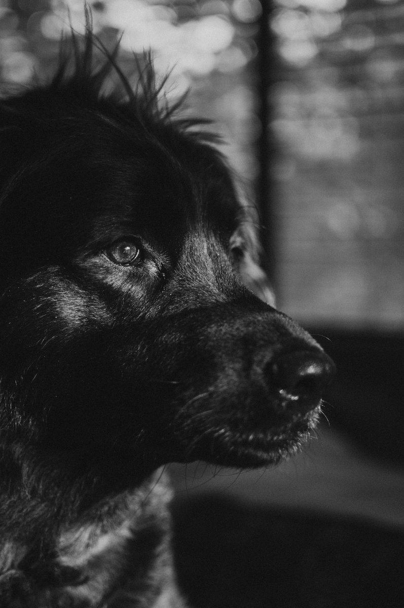 Birthday Girl
.
#JessicaMaePhotographyGA