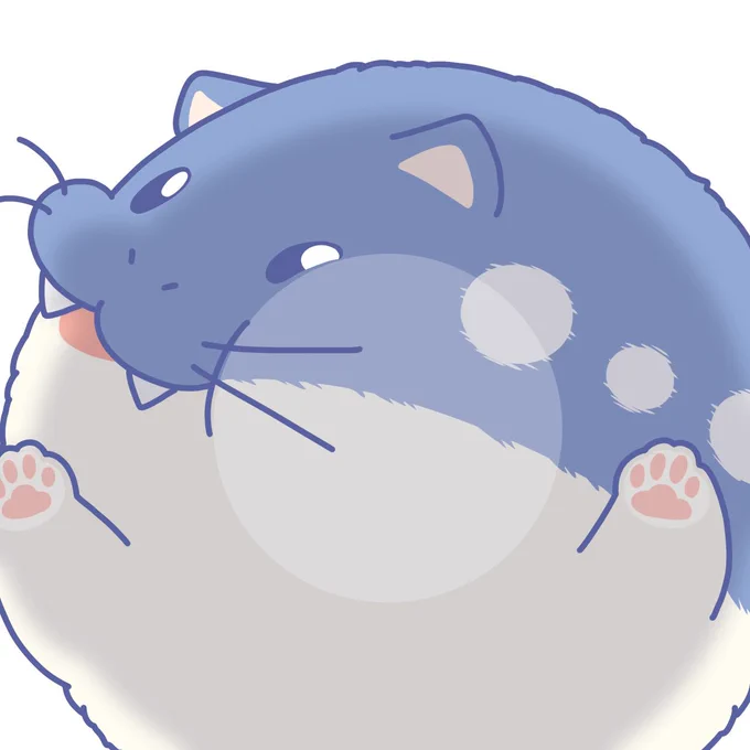 ネコザラシがこたつを出してほしそうにこっちを見ている!