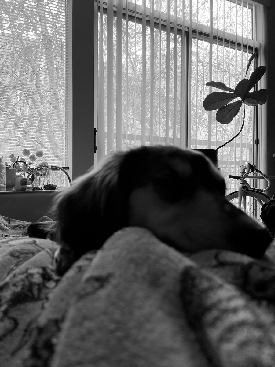 taylorev_'s tweet image. What our weekend looks like: