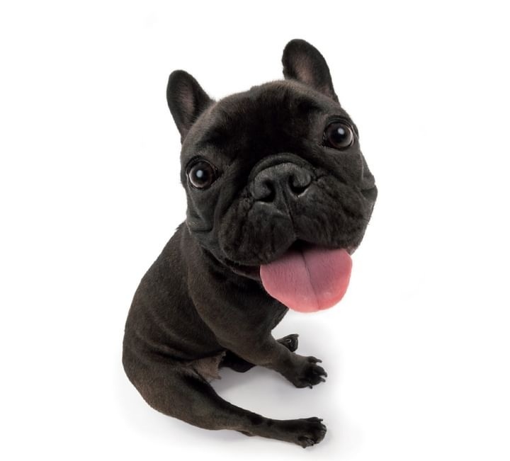 chaengft's tweet image. 