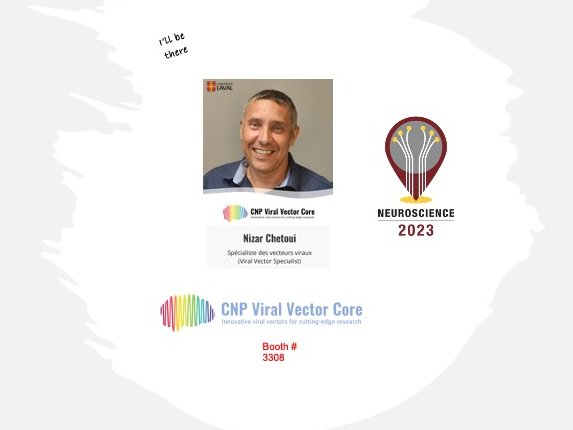 Canadian Neurophotonics Platform (@cnpviralvectors) on Twitter photo Viral vectors are increasingly used in iPSC and organoid assays. Rabies, AAV and Lentivirus. Visit us on the #SfN23 booth to discuss how we can help you in your research. <a href="/Neurophotonics/">Neurophotonics</a> Viral vectors are increasingly used in iPSC and organoid assays. Rabies, AAV and Lentivirus. Visit us on the #SfN23 booth to discuss how we can help you in your research. <a href="/Neurophotonics/">Neurophotonics</a>