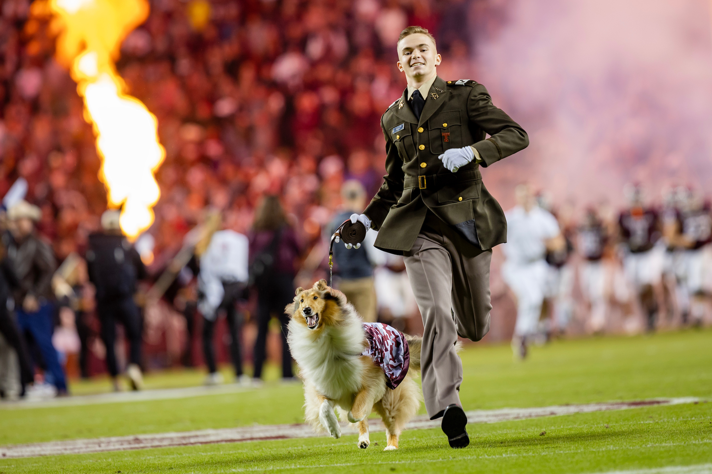 Reveille Tails  Texas A&M Foundation