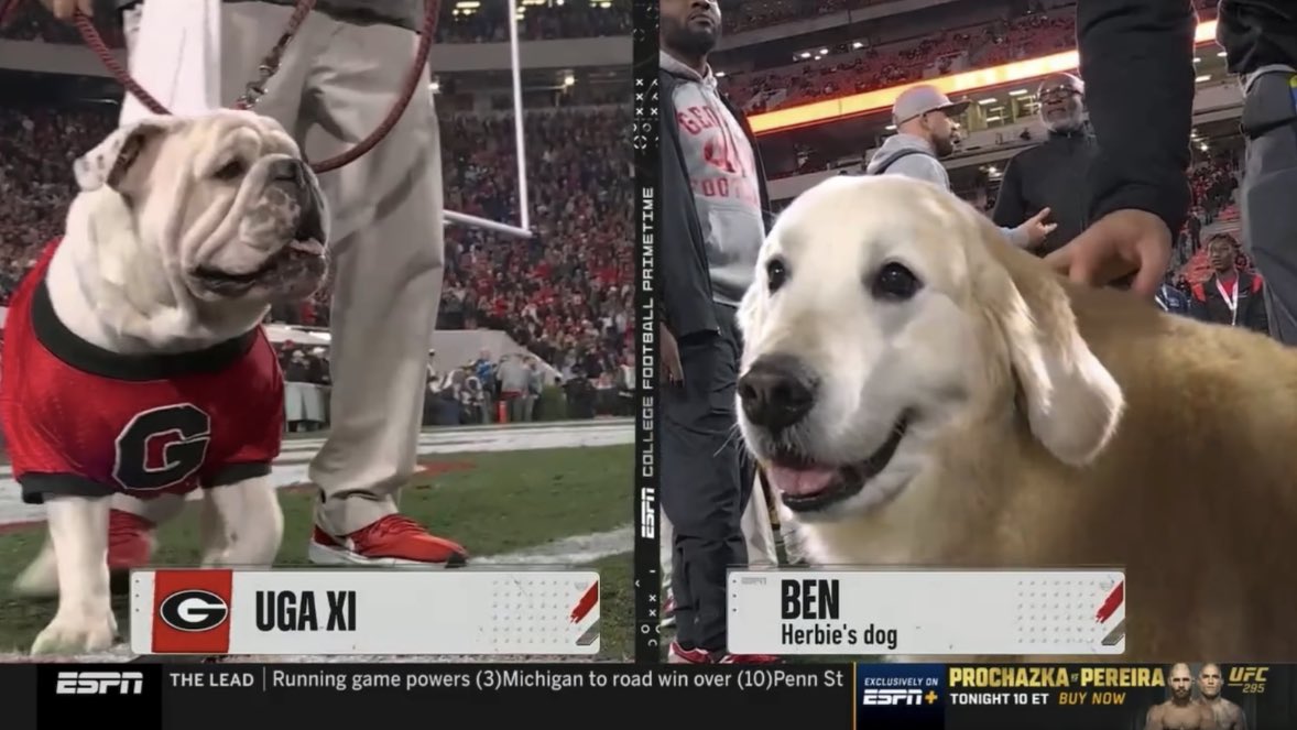 no context college football (@nocontextcfb) on Twitter photo 