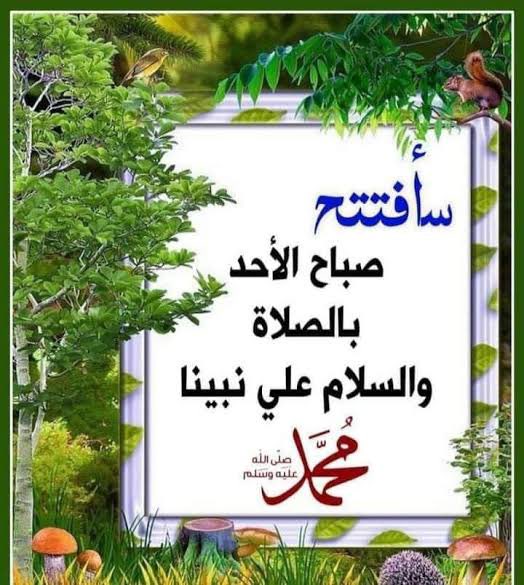 Dr. Ziedan (@ziedan_dr) on Twitter photo 