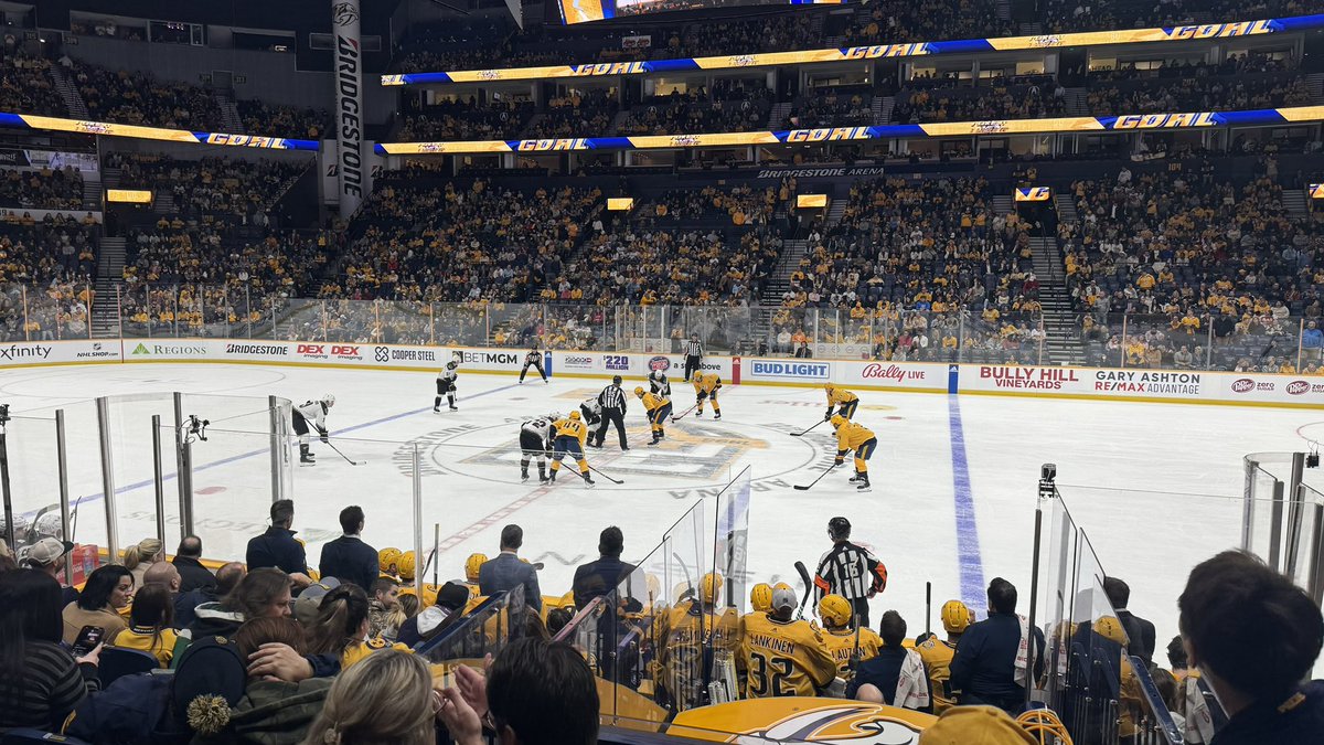Preds game tonight with this cutie
