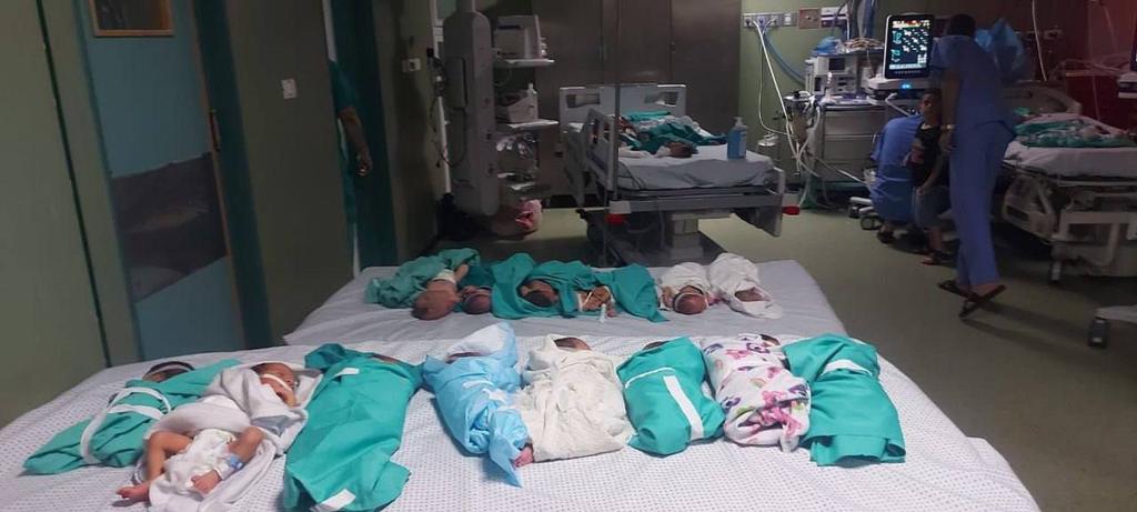Astaghfirullah ...
Sungguh biadabnya zionist 🇮🇱 mereka memborbardir RS Shifa sehingga banyak korban bayi² tak berdosa yang meninggal akibat oksigen terputus 🤬🤬🤬

Innalillah ...
#StopGazaBombing 
#StopGazaGenocideNOW