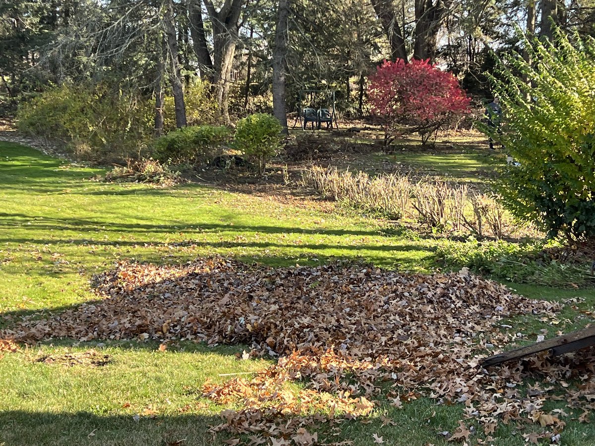 Malone University Baseball Team out in the community this weekend helping with fall cleanup! Great job boys!