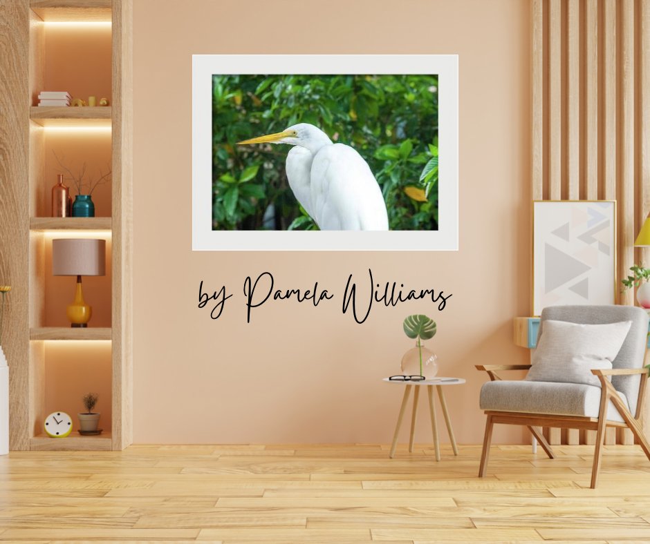 EGRET by Pamela Williams- Hope is the thing with feathers that perches in the soul and sings the tune without the words...  And never stops at all 

SHOP HERE: 3-pamela-williams.pixels.com/featured/great…

#egret #birdlover #naturephotography #wildlife #homedecor #interiordesign #wallart #buyintoart