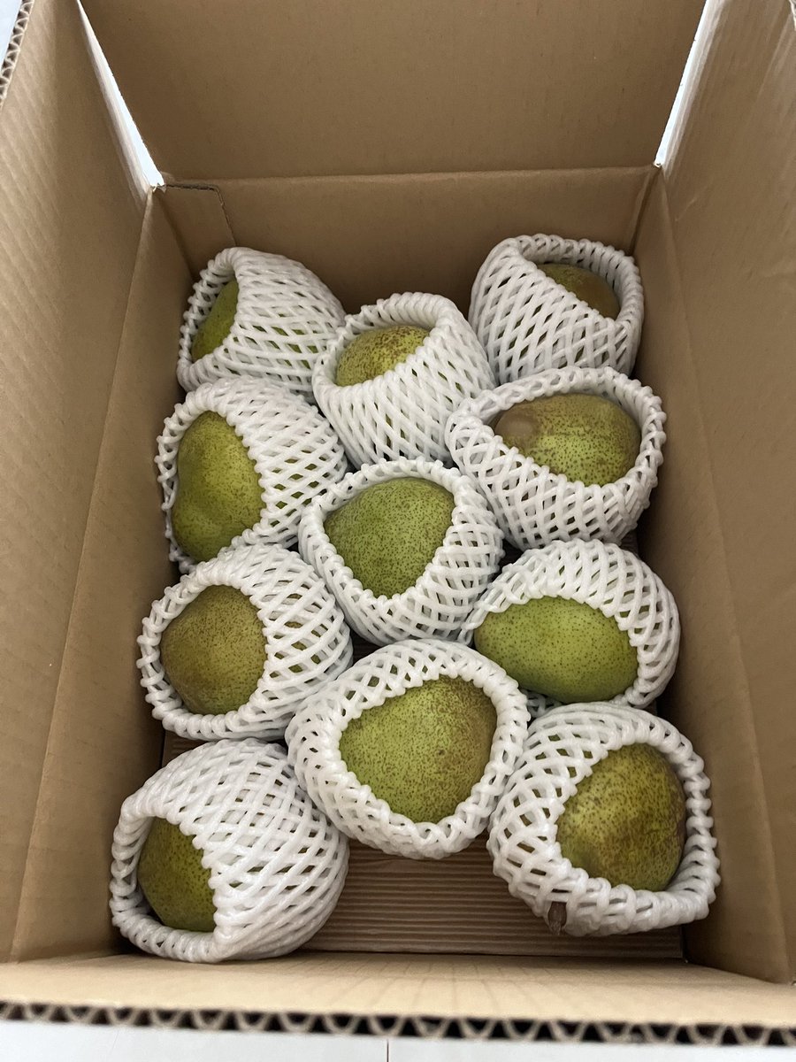 akiko14128's tweet photo. エスリード株主優待のラ フランスが到着。
11個も入っていて大満足です。 https://t.co/Jah645YOEg