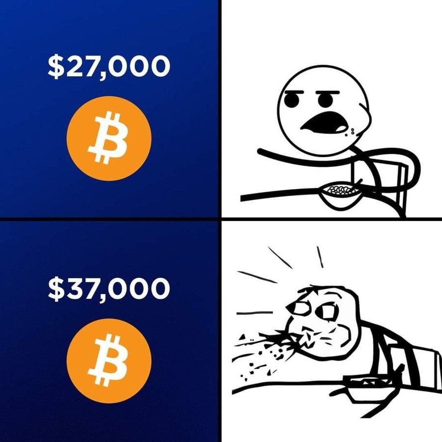 Mintameta tweet media